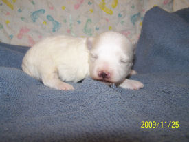 click here to see me grow