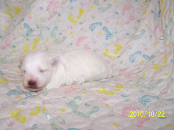 click here to see me grow
